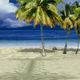 Illustration for article titled UFC Getting Private Island, Is Now Basically A Fighting Game